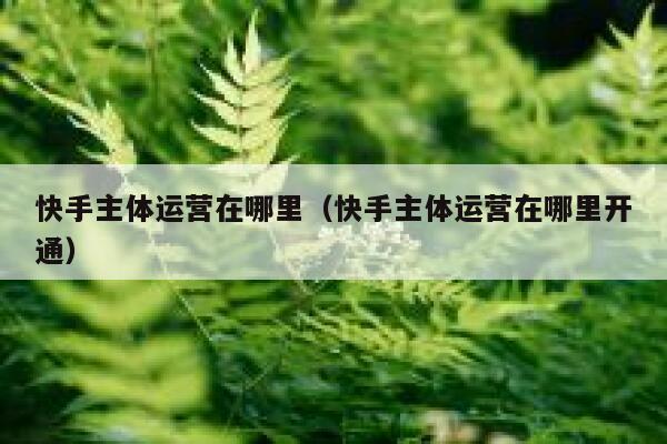 快手主体运营在哪里（快手主体运营在哪里开通）