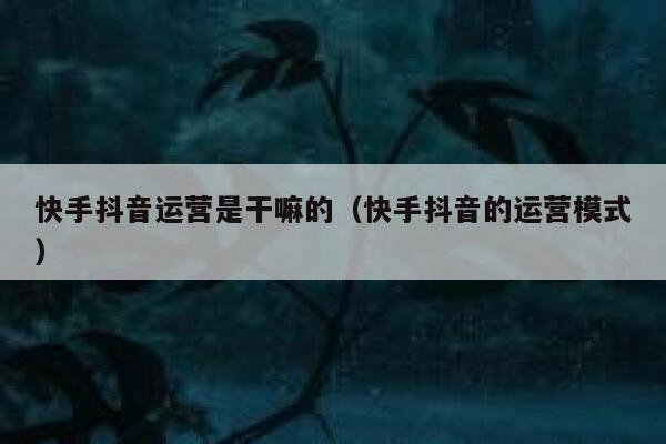 快手抖音运营是干嘛的（快手抖音的运营模式）