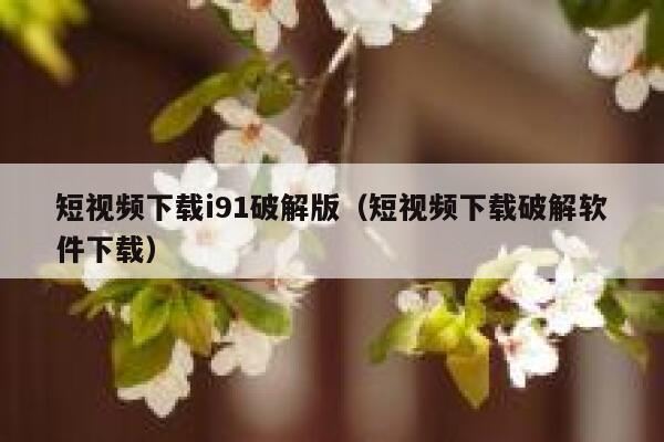 短视频下载i91破解版（短视频下载破解软件下载）