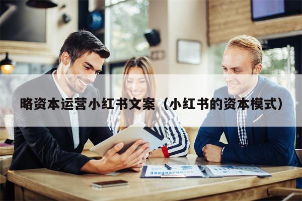 略资本运营小红书文案（小红书的资本模式）