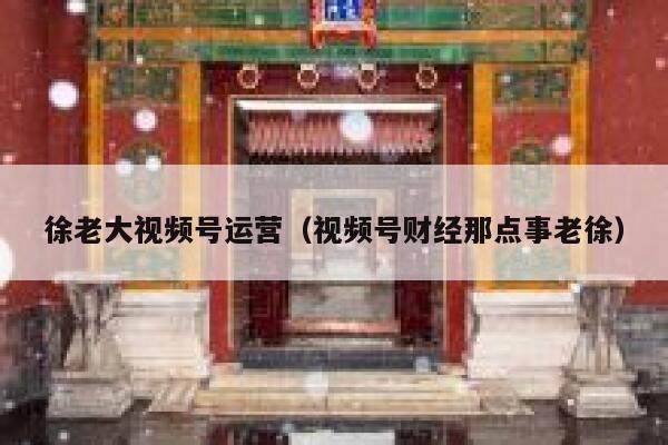 徐老大视频号运营（视频号财经那点事老徐）
