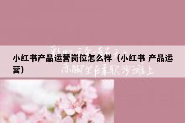小红书产品运营岗位怎么样(小红书 产品运营)