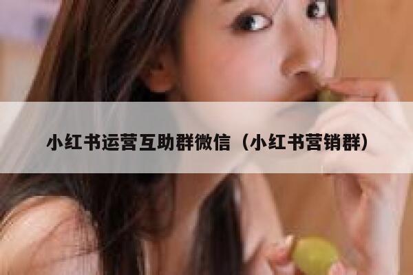 小红书运营互助群微信（小红书营销群）