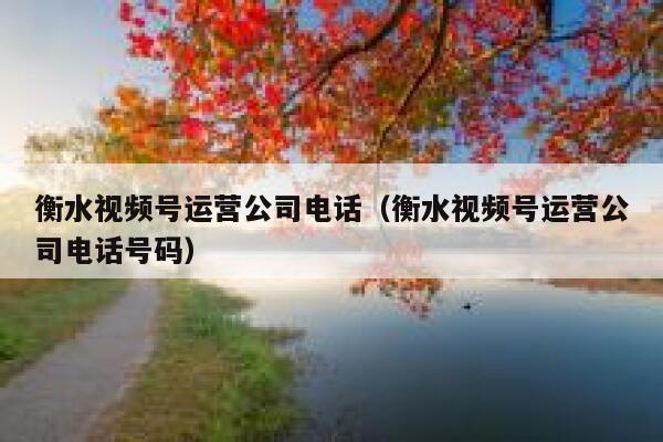 衡水视频号运营公司电话（衡水视频号运营公司电话号码）