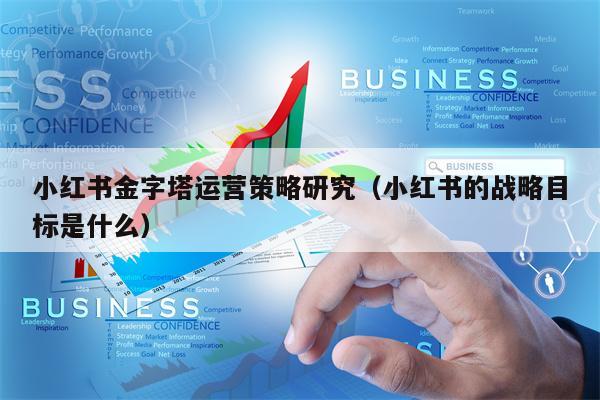小红书金字塔运营策略研究（小红书的战略目标是什么）