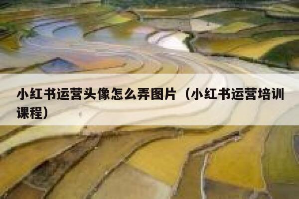 详细阅读:小红书运营头像怎么弄图片(小红书运营培训课程) 小红书运营头像怎么弄图片(小红书运营培训课程)