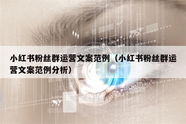 小红书粉丝群运营文案范例（小红书粉丝群运营文案范例分析）